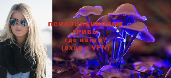 каннабис Богородицк