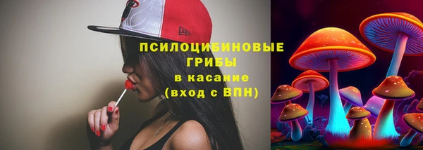 хмурый Сясьстрой
