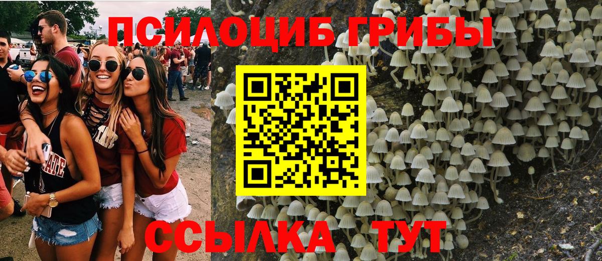 Галлюциногенные грибы прущие грибы Надым
