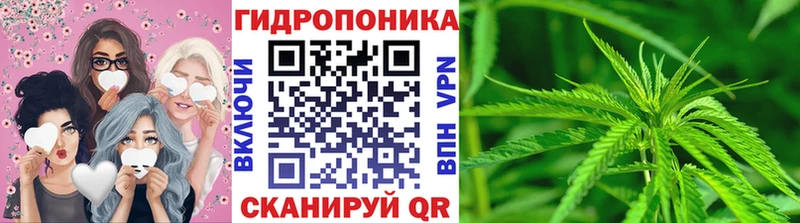 hydra зеркало  Надым  Каннабис White Widow  наркота 